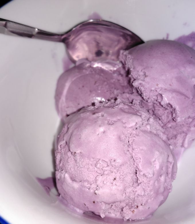 A picture of Blueberry Ice Cream.