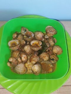 Foto resep Kerang Dara Saus Padang