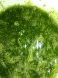 धनिया पुदीने की चटनी (Dhaniya pudine ki chutney recipe in hindi) रेसिपी मुख्य फोटो