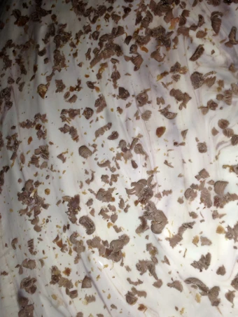 Easy Ways Prepare|Recipe} Oreo Nutella Cheesecake the So Delicious, Make You Drink