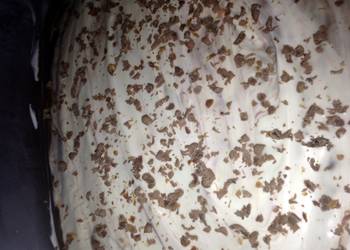 Easy Prepare Recipe Oreo Nutella Cheesecake Delicious Perfect