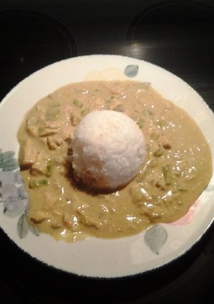 A picture of Chicken Curry over Rice.