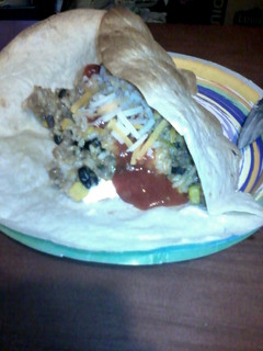A picture of stuffed burritos.