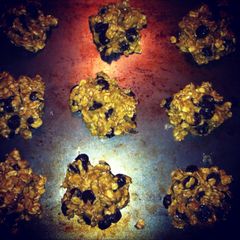 A picture of Veganlicious Chocolate Chip Cookies.