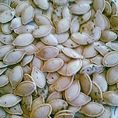 A picture of Sun Seeds: Ranch.