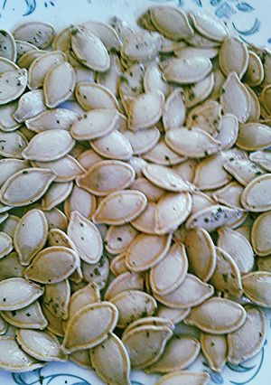 A picture of Sun Seeds: Ranch.