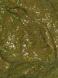 Coriander chutney (hare dhaniye ki chutney)
