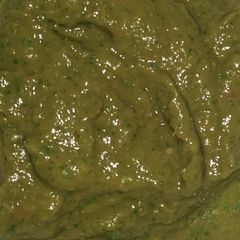 A picture of Coriander chutney (hare dhaniye ki chutney).