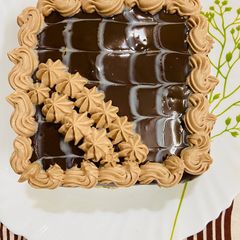 A picture of Biscuit cake with ganache frosting.