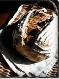 Whole Wheat Berry Pain de Campagne