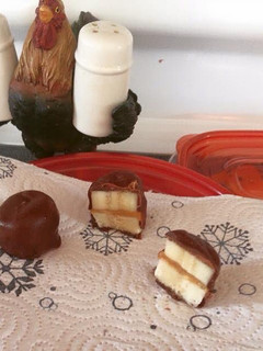 A picture of Chocolate Banana Peanut Butter Bites.