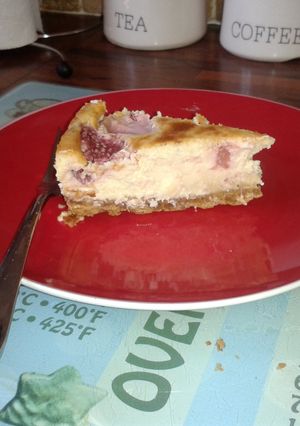 A picture of baked fruit cheesecake.
