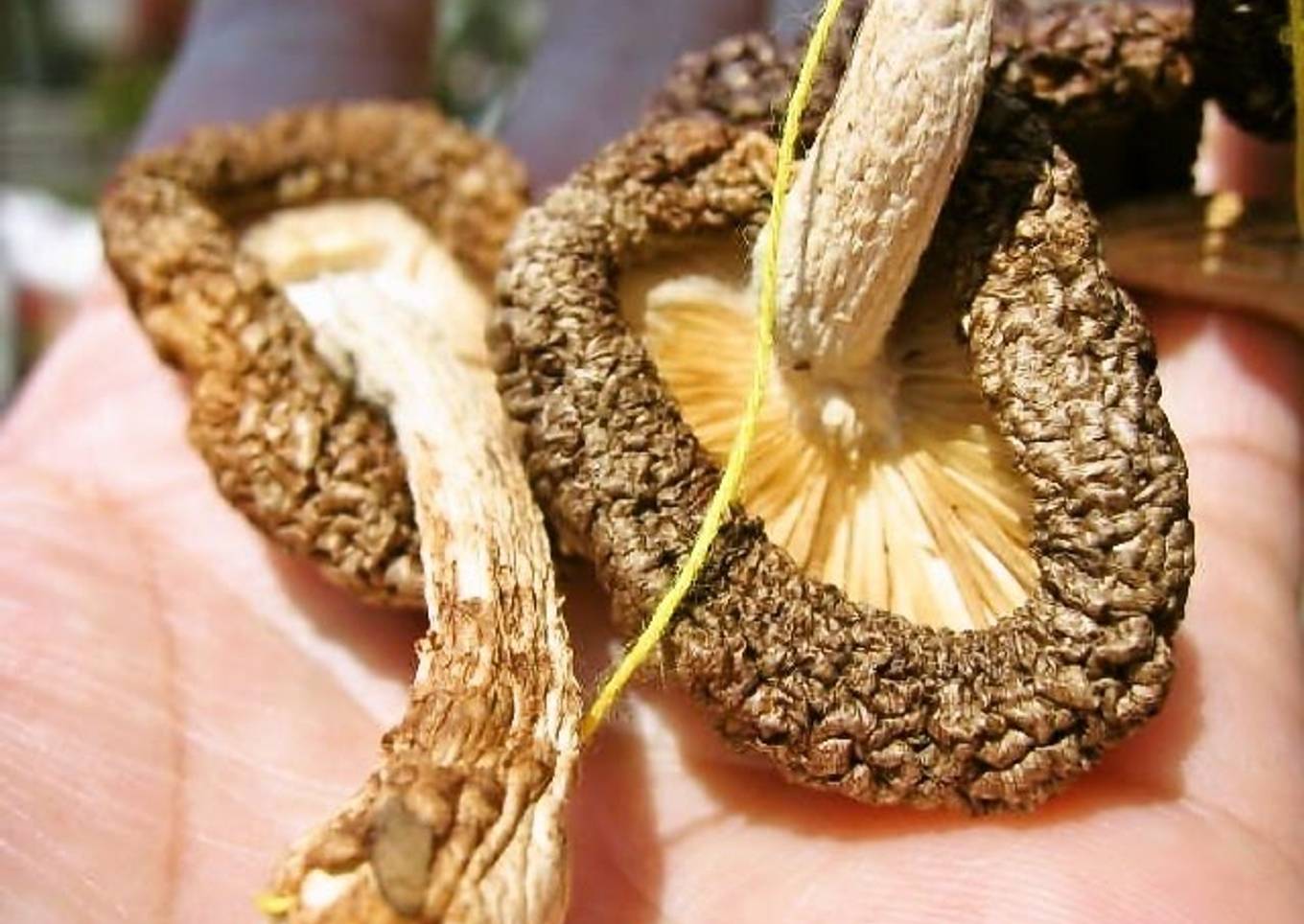 Step-by-Step Guide to Prepare Speedy Sun Dried Shiitake Mushrooms with
Butter and Soy Sauce