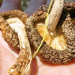 A picture of Sun Dried Shiitake Mushrooms with Butter and Soy Sauce.