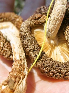 A picture of Sun Dried Shiitake Mushrooms with Butter and Soy Sauce.