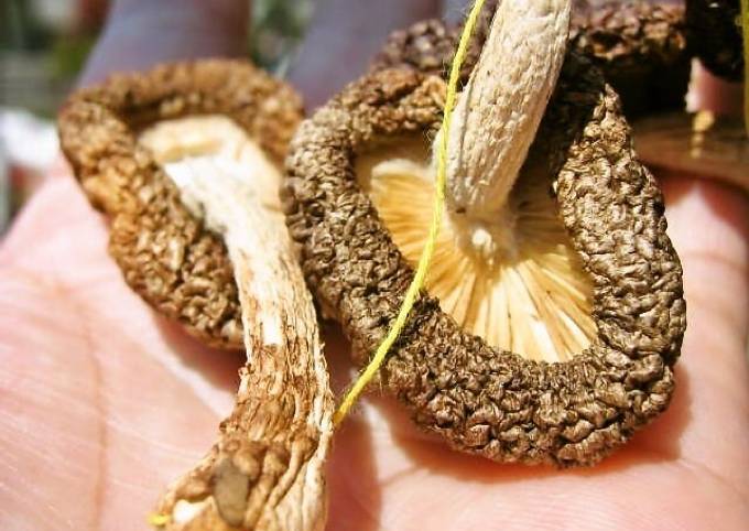 Recipe of Favorite Sun Dried Shiitake Mushrooms with Butter and Soy Sauce