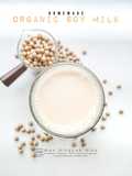 Susu Soya Organik (Homemade Organic Soy Milk)