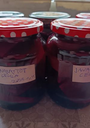 Cékla savanyítva recept fotója