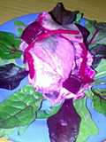 sig's herring salad