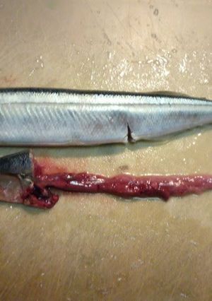 A picture of How to Clean Pacific Saury.