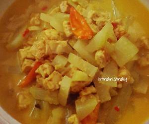 Siap Saji 23. Lodeh Tempe Labu Siam Sedap Nikmat