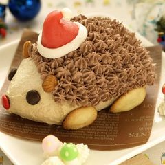 A picture of Hedgehog Christmas Cake.