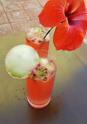 A picture of Hibiscus-tender coconut cooler.