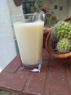 Una foto de Yogurt Natural