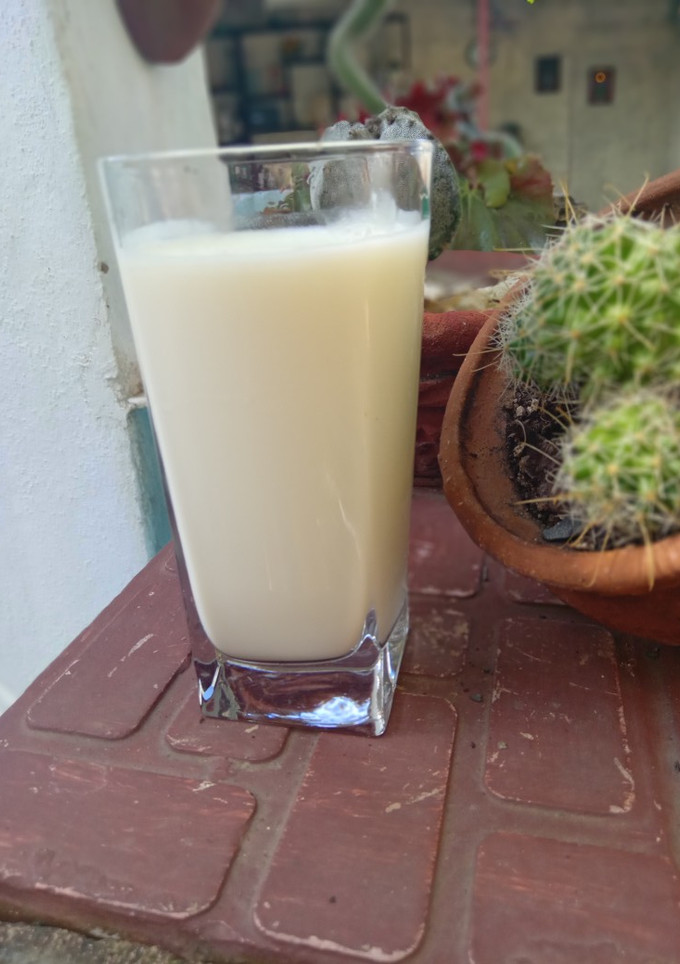 Una foto de Yogurt Natural