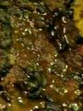 Feijoada