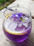 Butterfly Pea Lemon Squash