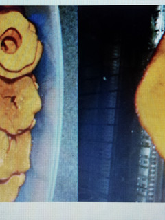 A picture of Apple chips.