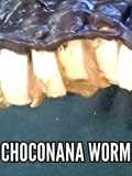 Choconana Worm
