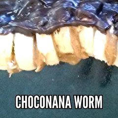 A picture of Choconana Worm.