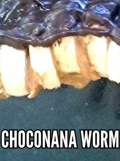 A picture of Choconana Worm.