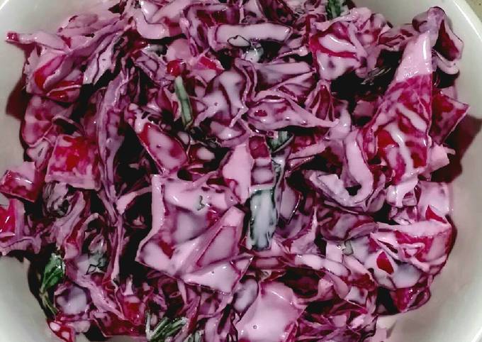 Cilantro Lime Red Cabbage Slaw