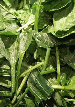 A picture of Spinach greens.