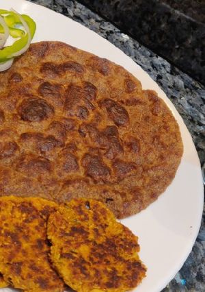 A picture of Paneer-lauki tikki/kebab.