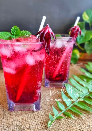 Foto resep Roselle Mojito