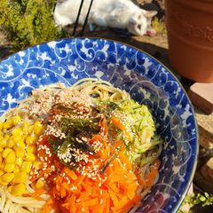 A picture of Japanese Reimen (chilled noodles).
