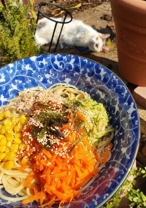 A picture of Japanese Reimen (chilled noodles).