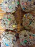 TL's Loaded Chocolate Chip Mouthgasms