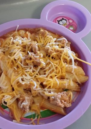 A picture of Turkey noodle salsa caboodle.