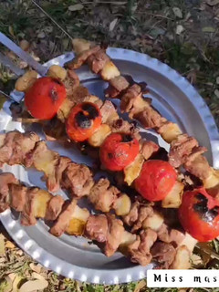 عکسی از دستور کباب چنجه