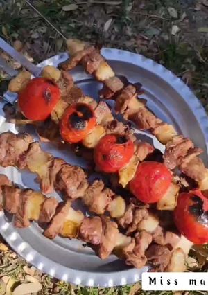 عکسی از دستور کباب چنجه
