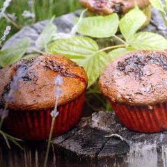 A picture of Easy Chocolate Muffins.