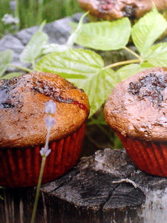 A picture of Easy Chocolate Muffins.