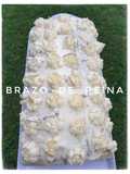 Brazo de Reina 👑