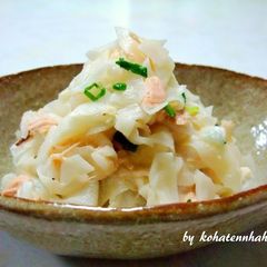 A picture of Daikon Radish and Tuna Salad with Wasabi Mayonnaise.