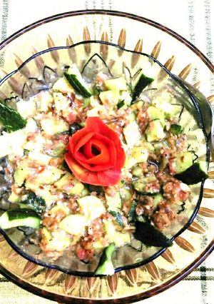 A picture of Green Papaya Salad (Som Tam).